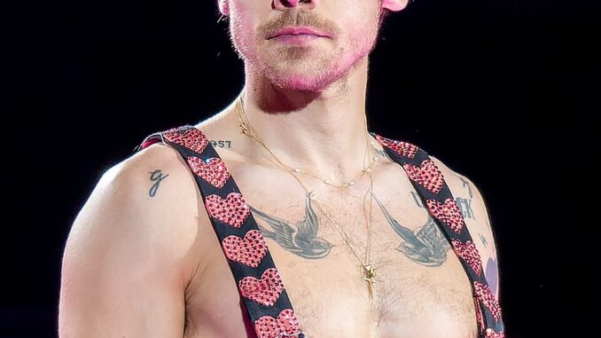 HarryStylesWembley170623_(65_of_93)_(52982678051)_(cropped_2)